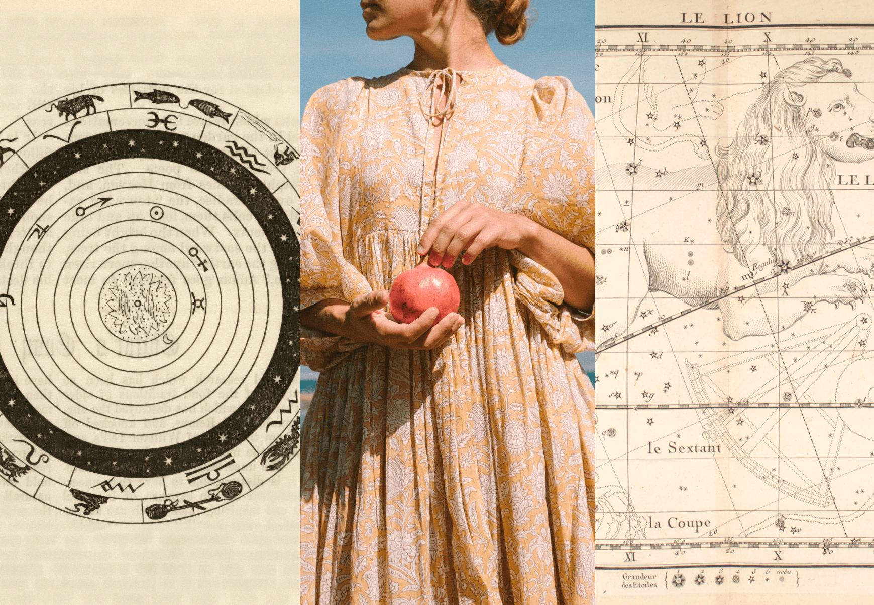 Moon Musings: Leo Season